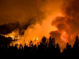 Wildfires undo clean air gains | Credits: Shutterstock