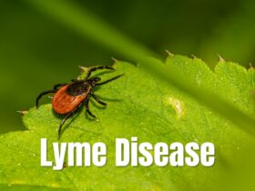 Lyme disease in the US experienced a spiraling-up rise by almost 70%, the CDC cited that a shift in reporting policies was the cause of the increase.